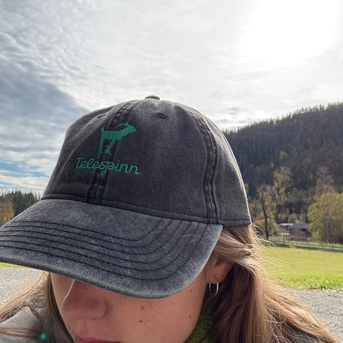 Telespinnkaps